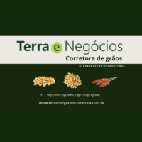 Captura de Tela 2024-11-25 às 14.46.59